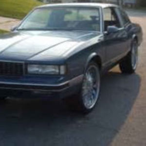 Meet your Posher, Steven